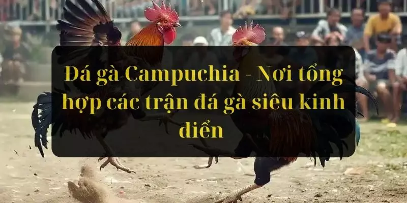 Đá Gà Campuchia